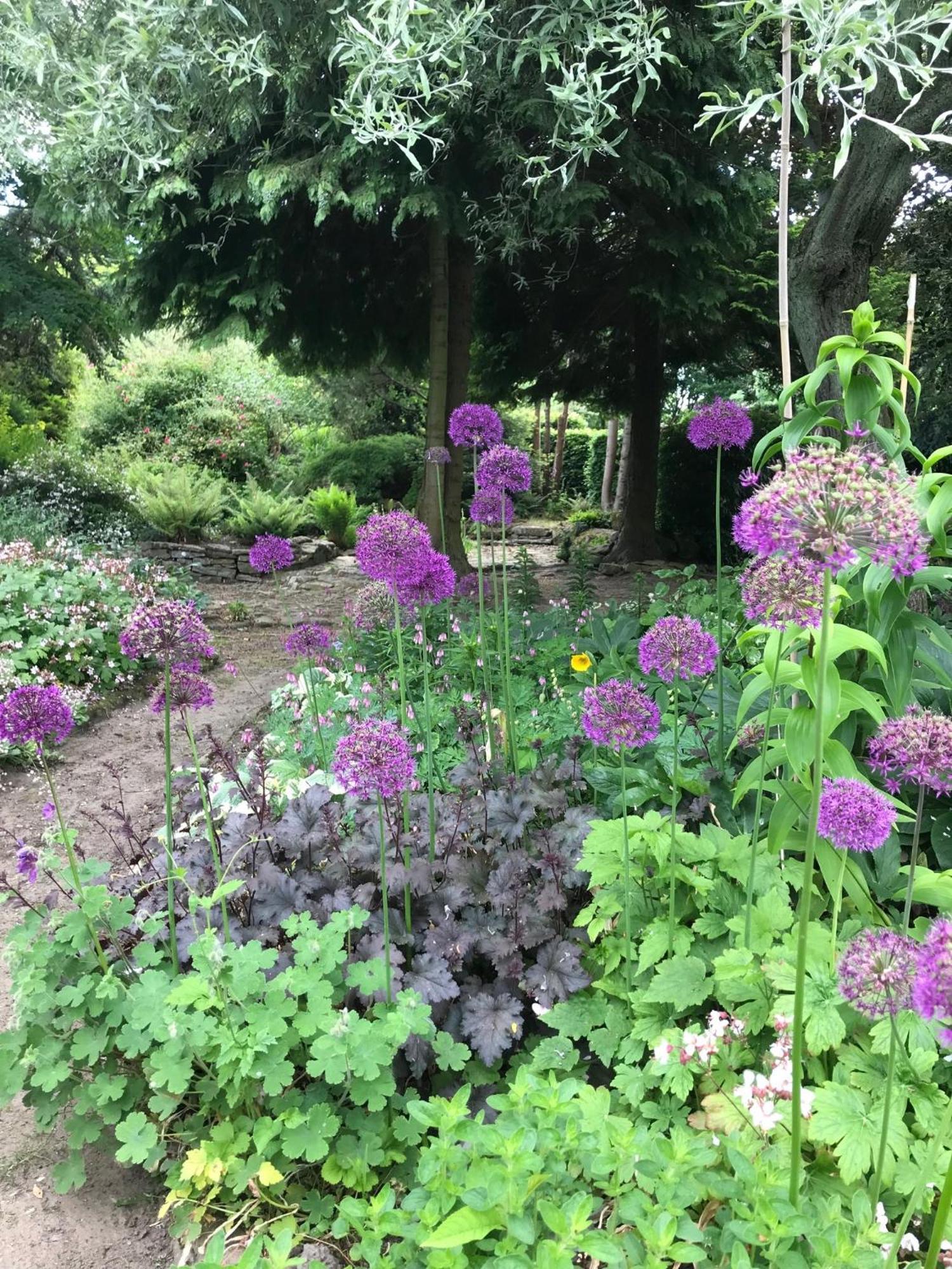 فيلا Phlomis يورك المظهر الخارجي الصورة